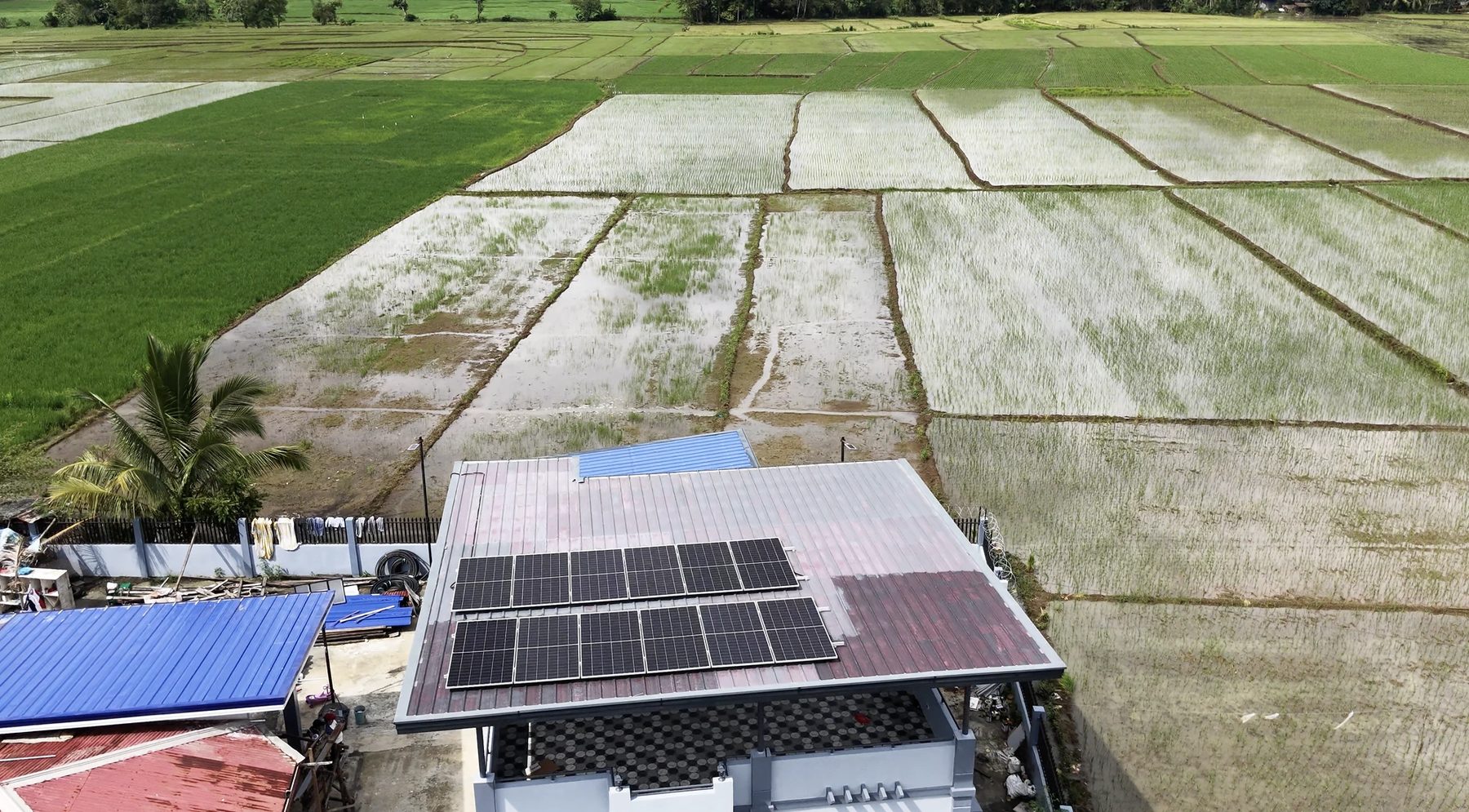 Aerial view of the Delapa house rooftop solar array surrounded by rice fields