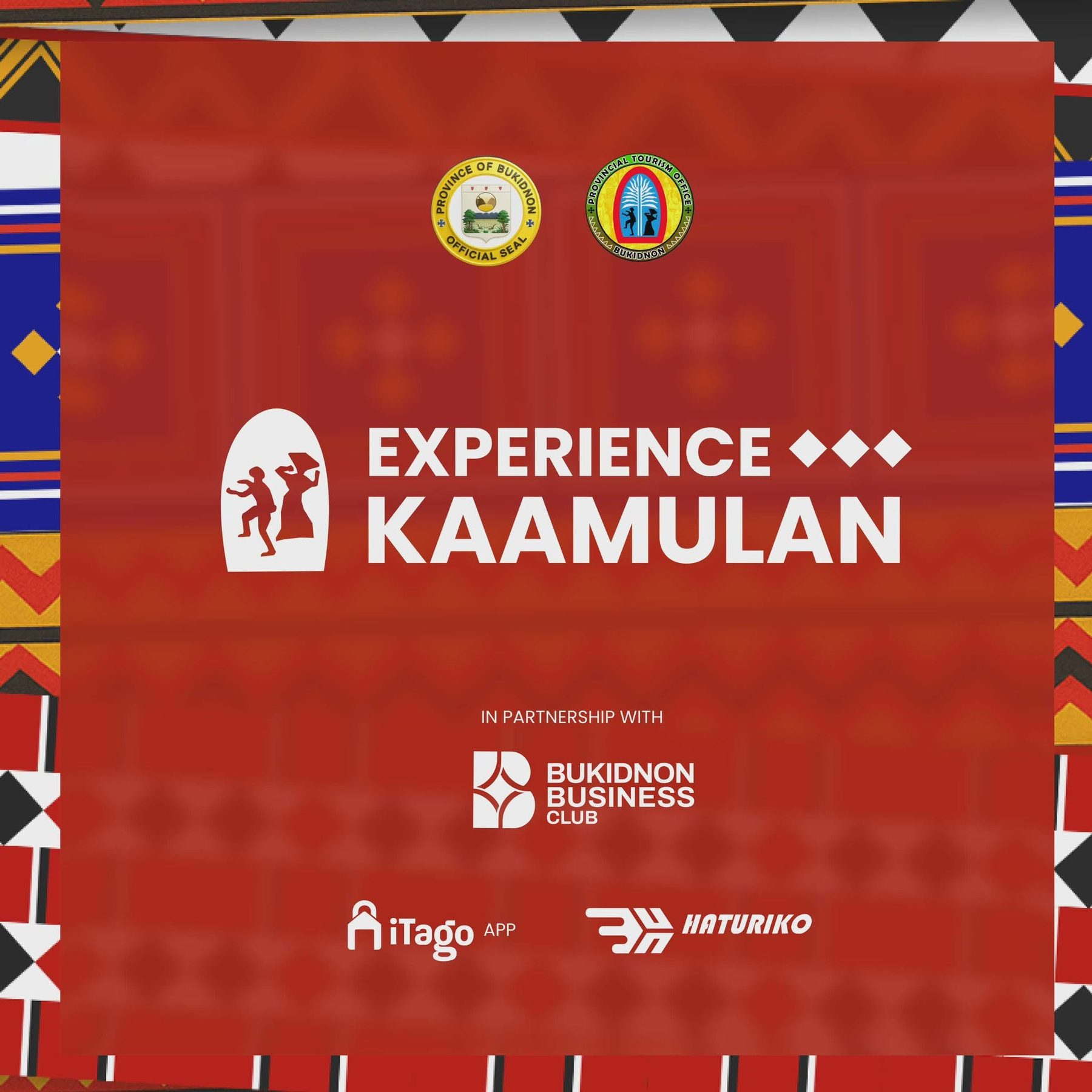 Experience Kaamulan brand graphic with partner logos